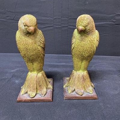 LOT#244: Assorted Bird Lot