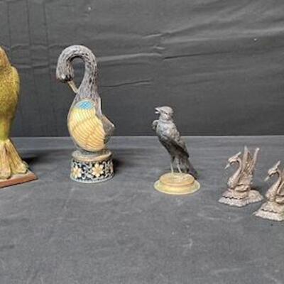 LOT#244: Assorted Bird Lot