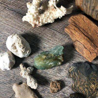 29: Minerals, fossels and petrified wood