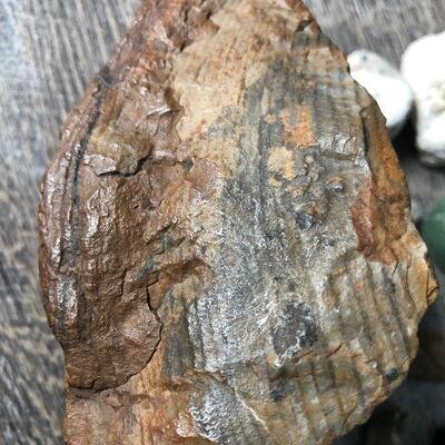 29: Minerals, fossels and petrified wood