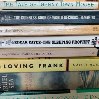 Lot 69. Collection of fiction books--$20