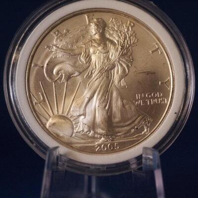 2005 Unc Silver American Eagle 161