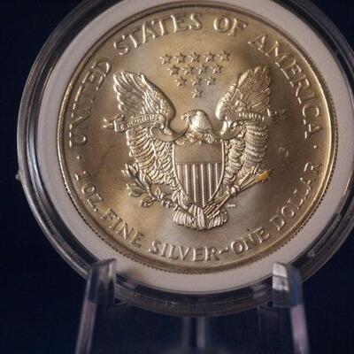 2002 Unc Silver American Eagle 163