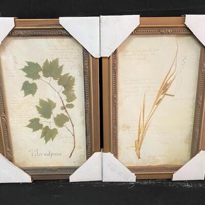 LOT#366: 6 Framed Art Pieces