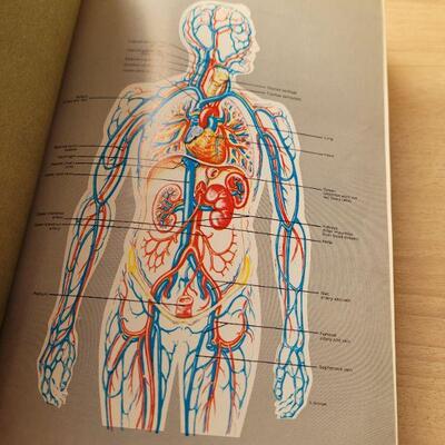 Lot #34: Vintage THE NEW ILLUSTRATED Medical and Health Encyclopedia Set 