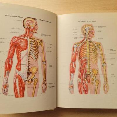 Lot #34: Vintage THE NEW ILLUSTRATED Medical and Health Encyclopedia Set 