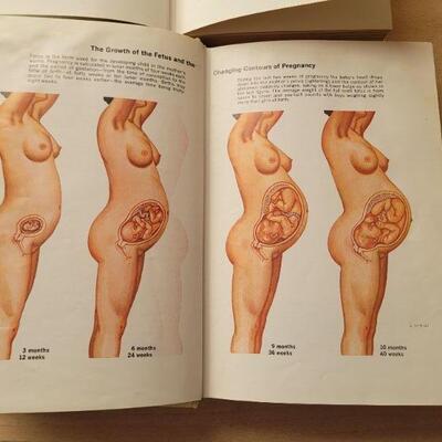 Lot #34: Vintage THE NEW ILLUSTRATED Medical and Health Encyclopedia Set 