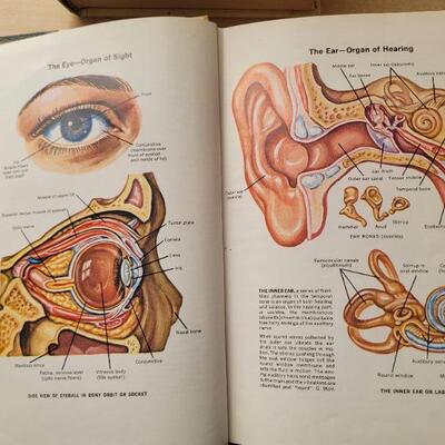 Lot #34: Vintage THE NEW ILLUSTRATED Medical and Health Encyclopedia Set 