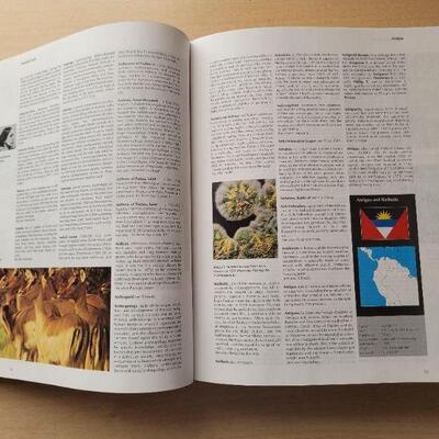 Lot #47: Vintage Encyclopedia and Dictionary Home School Bundle ðŸ« 