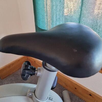 Lot #118: Schwinn BIOFIT AD2 Wind Resistance Exercise Bike