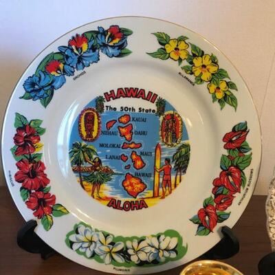 Collectors State and Scenic Plates and Decor- Hawaii  (31)