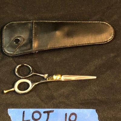 Lot 10 - Arius Eickert Scissors w/Case