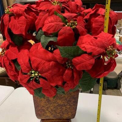 Potted Poinsettia