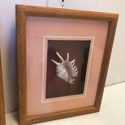 Mixed Variety of Fish and Seashell Decor (85)