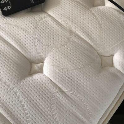 Full Automatic Adjustable Bed (120)