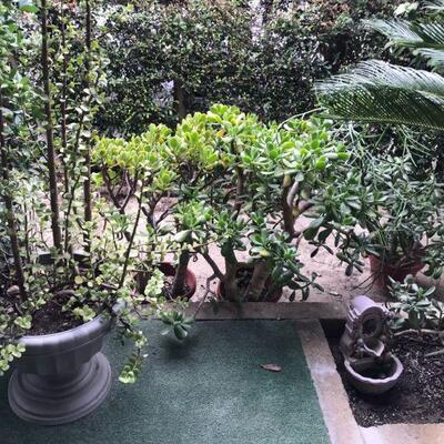 Vintage Pagoda Bird Bath and Potted Plants (131)