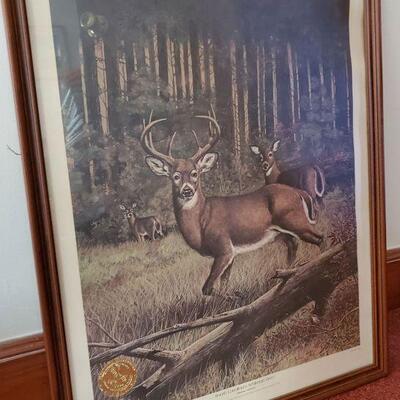 Double Signed Framed Print of South Carolina's Whitetail Deer by R.J. McDonald