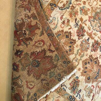 Large Elegant Hand Woven Tan Design Tan Design Area Rug