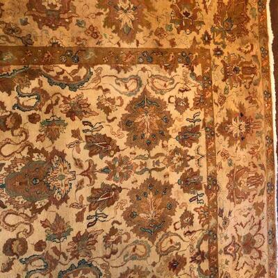 Large Elegant Hand Woven Tan Design Tan Design Area Rug