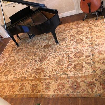Large Elegant Hand Woven Tan Design Tan Design Area Rug