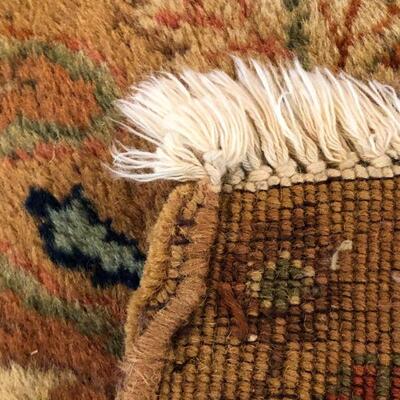 Large Elegant Hand Woven Tan Design Tan Design Area Rug