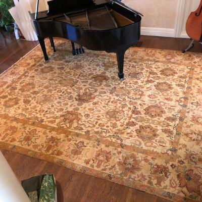 Large Elegant Hand Woven Tan Design Tan Design Area Rug