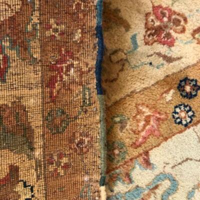Large Elegant Hand Woven Tan Design Tan Design Area Rug