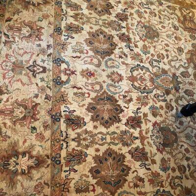 Large Elegant Hand Woven Tan Design Tan Design Area Rug