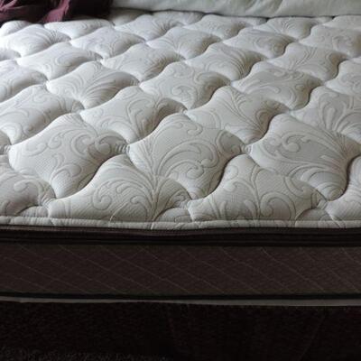 LOT 25  LIKE NEW QUEEN SIZE BED