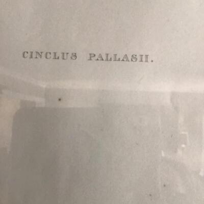 B - 426: Vintage “Cinclus Pallasii” E. Gould Print by C.Hullmandel 
