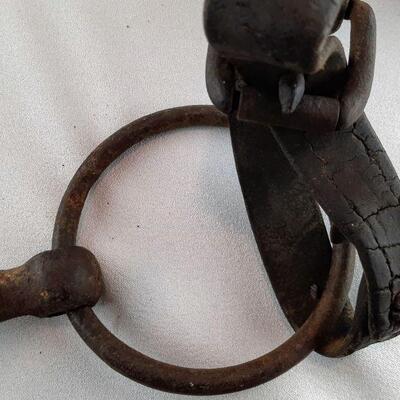 Bridle with Blinders