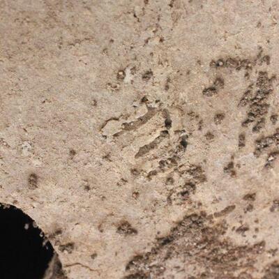 Lot 49 Margaret Hudson Lrg./Md. Bears