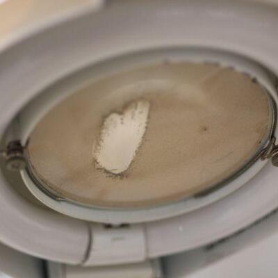 Lot 181 Fan & Lighted Magnified Lamp