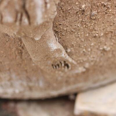 Lot 216 Margaret Hudson Grape Pot w/ Rose Tree