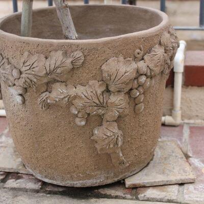Lot 216 Margaret Hudson Grape Pot w/ Rose Tree