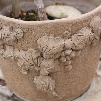 Lot 216 Margaret Hudson Grape Pot w/ Rose Tree