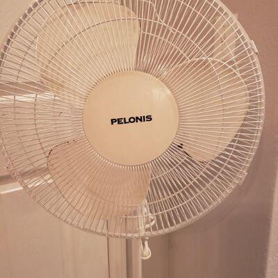 Lot 201: Pelonis Fan