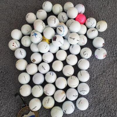 Lot 230: Golf Ball and Golf Bag Medallion lot