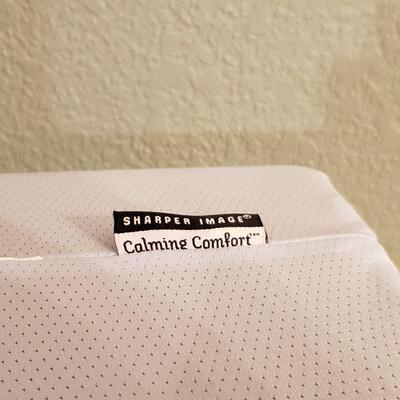 Lot 600: Sharper Image Small Pillow 