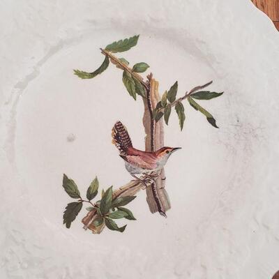 Lot 616: Antique Meaken Audubon Plates (8)