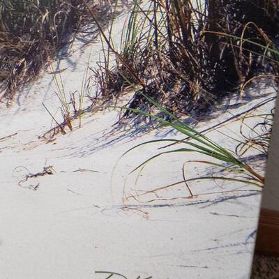 Lot 627: Beach Photo on Canvas
