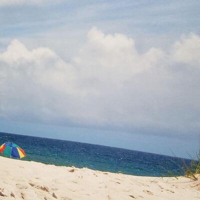Lot 627: Beach Photo on Canvas