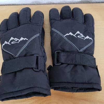 Lot 667: Winter Gloves 