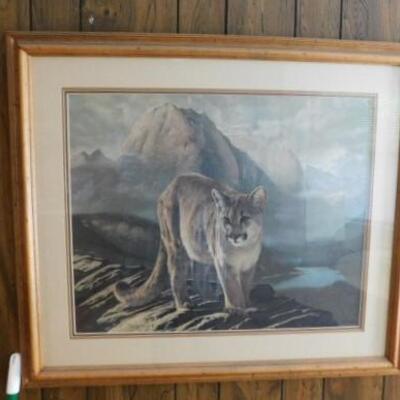 Framed Art Mountain Lion Signed by Charles Frace Print #331 34
