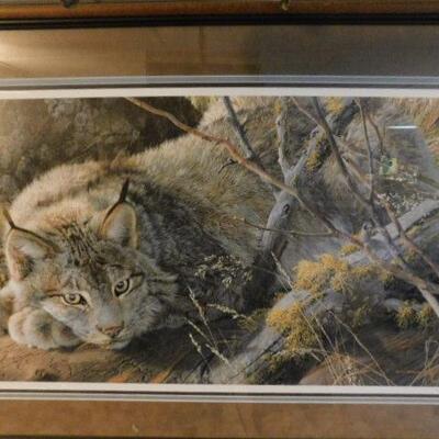 Framed Art Lynx by Carl Brenders 662/1500 40