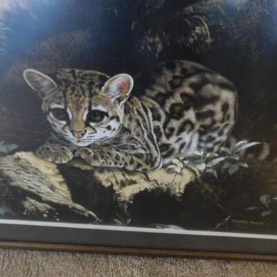 Framed Art Print Leopard Cub by Charles Frace 2126/2500 30