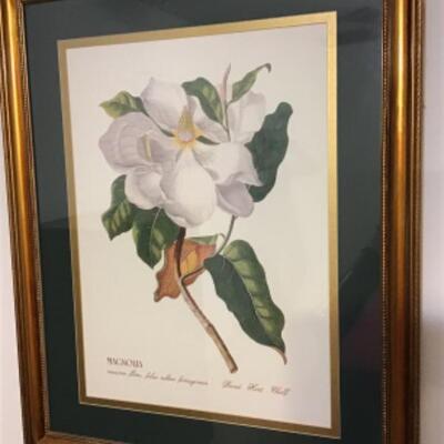 Magnolia Print with Gold Frame 