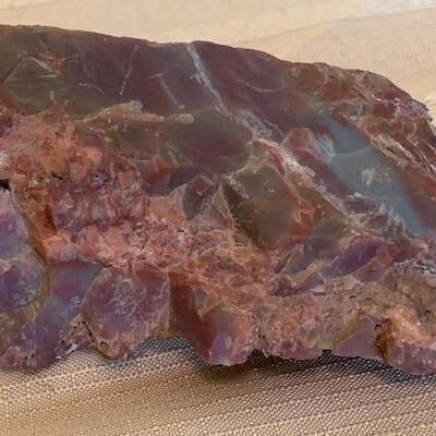 LOT 96 Petrified Wood