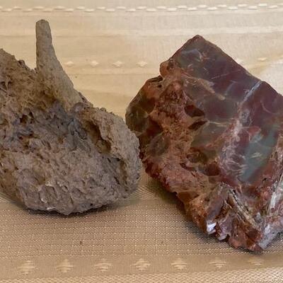 LOT 96 Petrified Wood