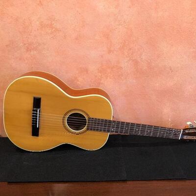 Beautiful EspaÃ±a Made in Sweden Guitar and Case